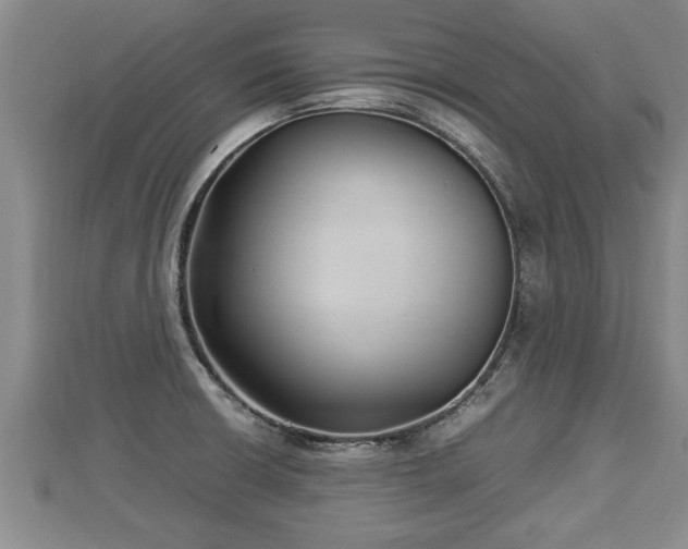 X0000112791426200908281457