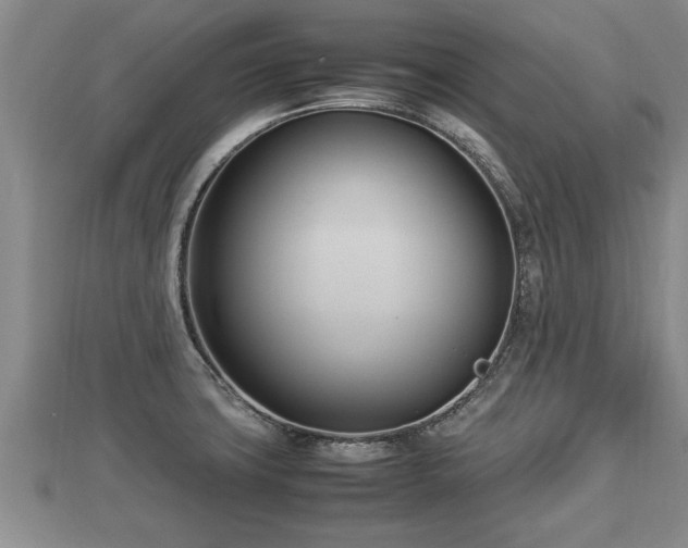 X0000112791427200908281457