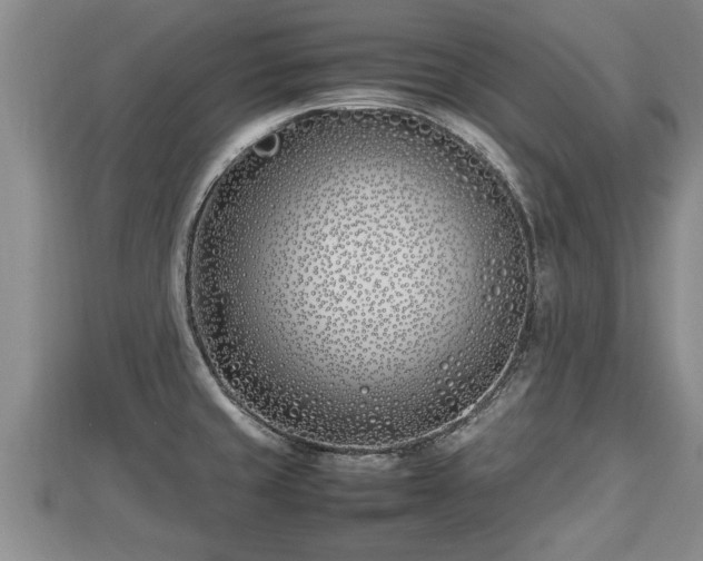 X0000112791429200908281457