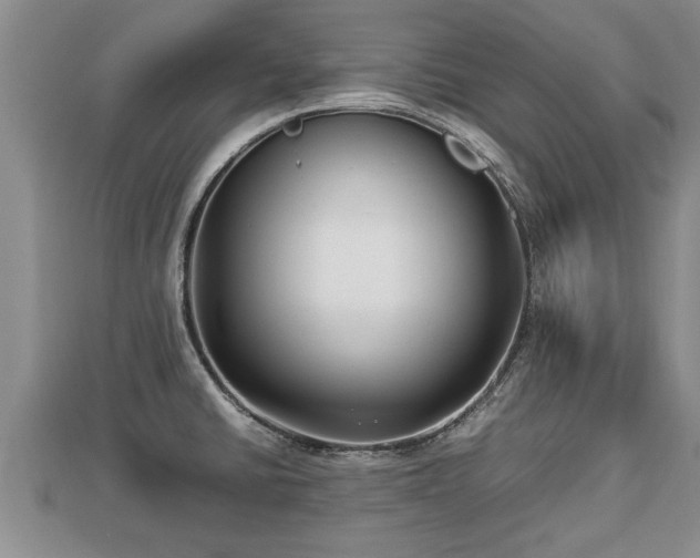 X0000112791430200908281457