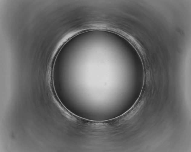 X0000112791432200908281457