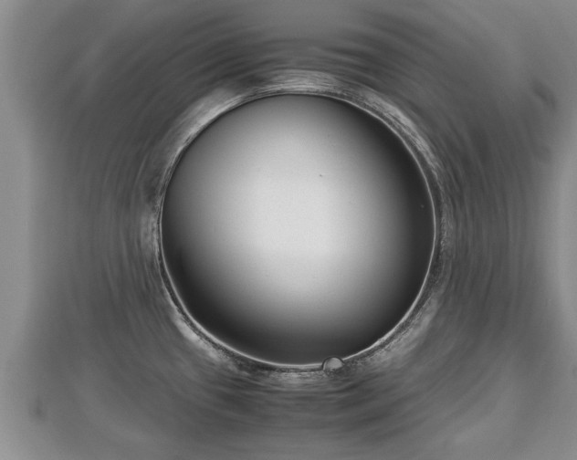 X0000112791433200908281457