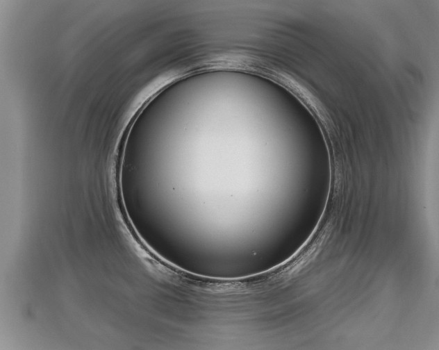 X0000112791434200908281457