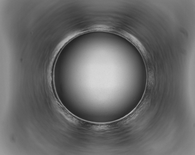 X0000112791435200908281457