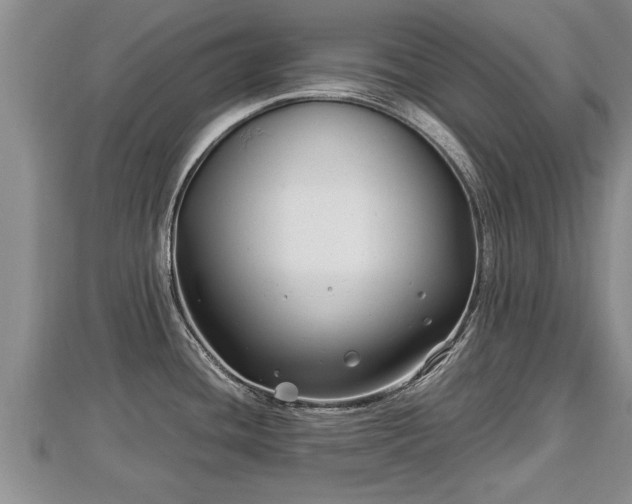 X0000112791436200908281457