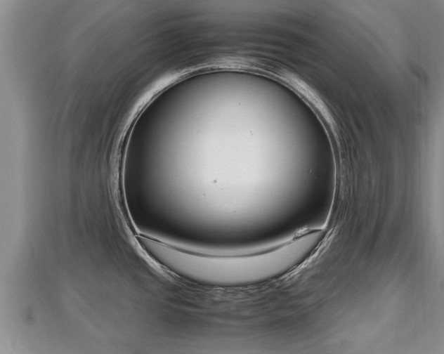 X0000112791437200908281457