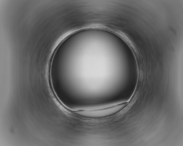 X0000112791438200908281457