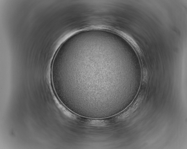 X0000112791439200908281457