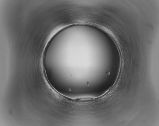 X0000112791440200908281457