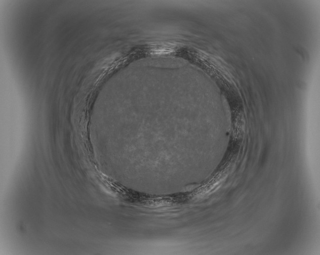 X0000112791441200908281456