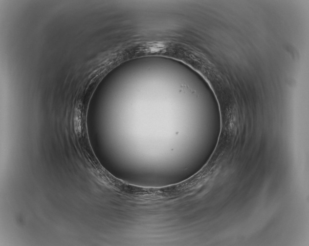 X0000112791442200908281456