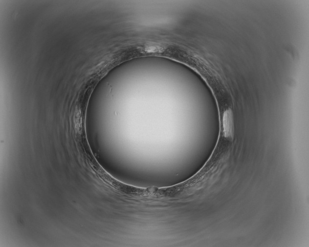 X0000112791443200908281456