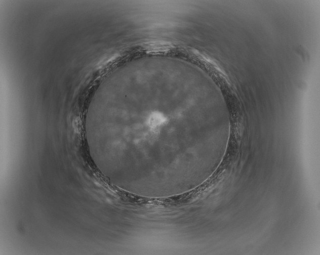 X0000112791445200908281456