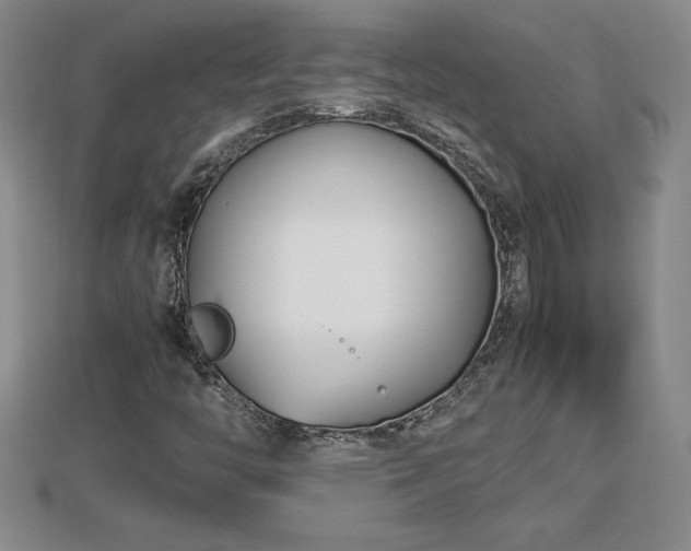 X0000112791446200908281456