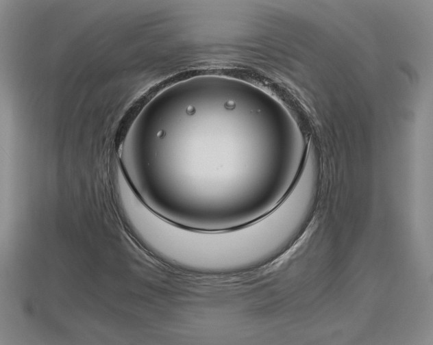 X0000112791449200908281456