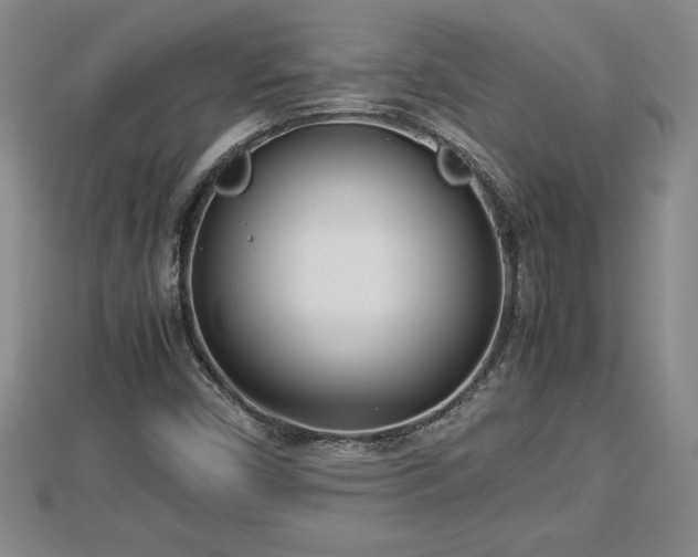 X0000112791450200908281456