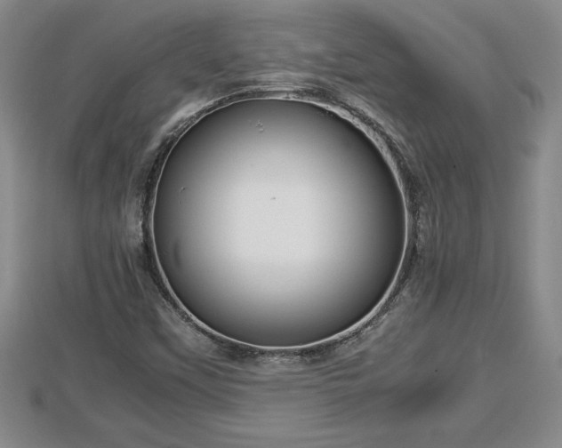 X0000112791451200908281456