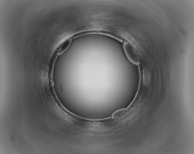 X0000112791452200908281456