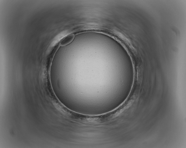 X0000112791453200908281456