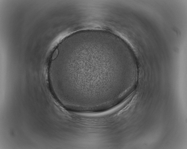 X0000112791455200908281456