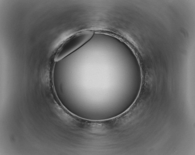 X0000112791456200908281456