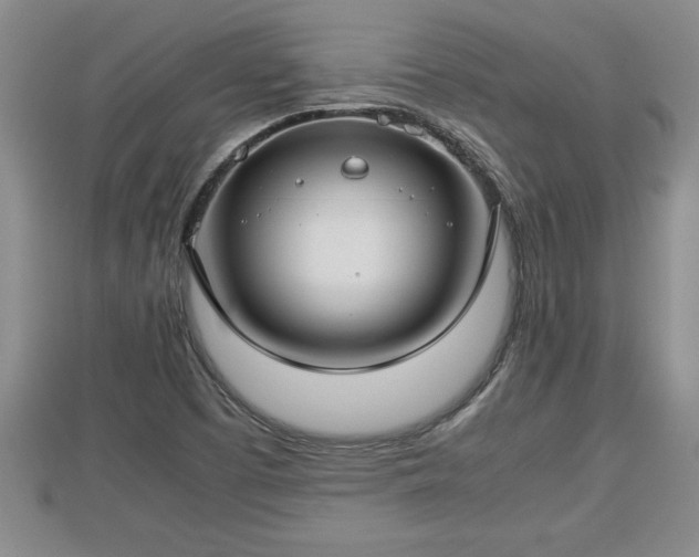 X0000112791457200908281456