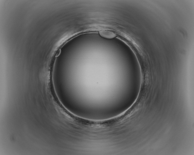 X0000112791459200908281456