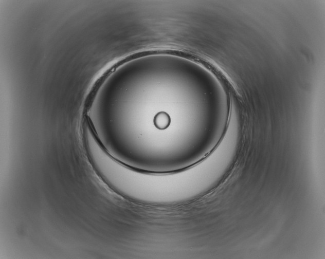 X0000112791460200908281456