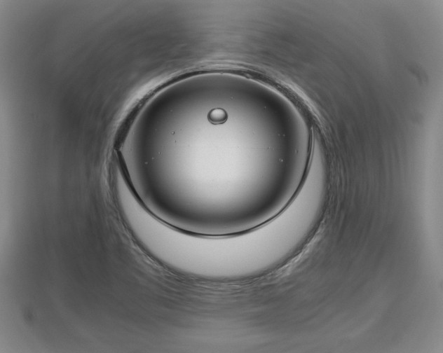 X0000112791461200908281456