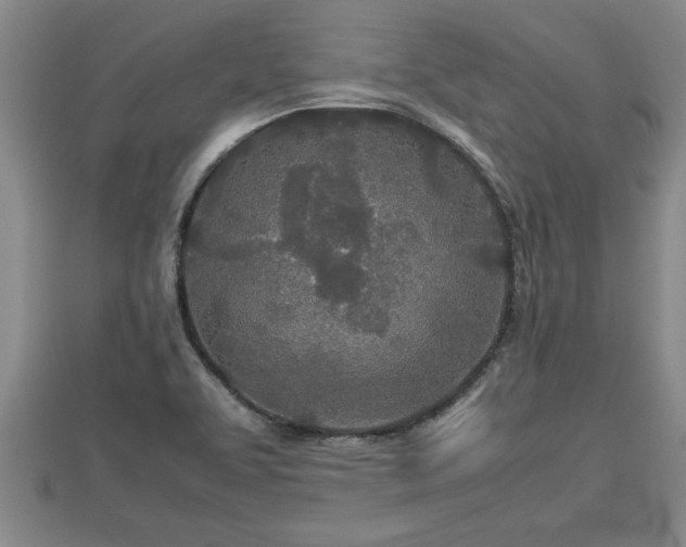 X0000112791463200908281456