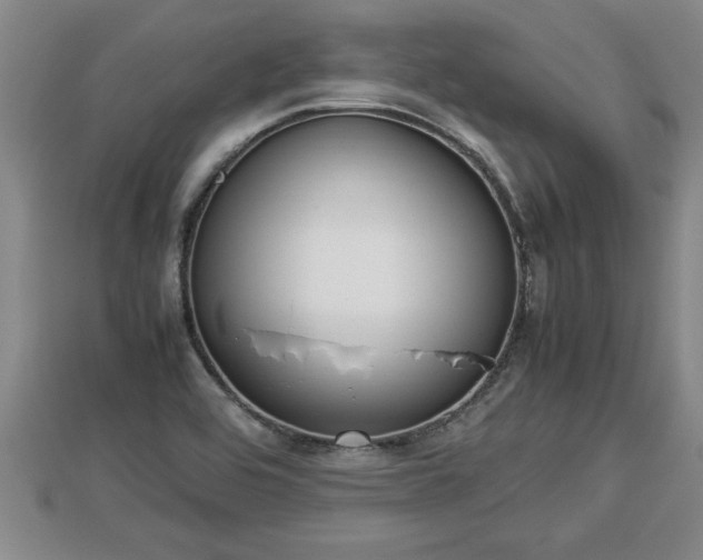 X0000112791464200908281456