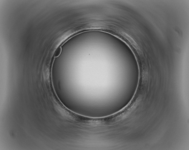 X0000112791465200908281456