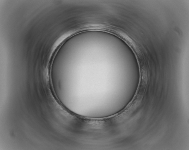 X0000112791466200908281456