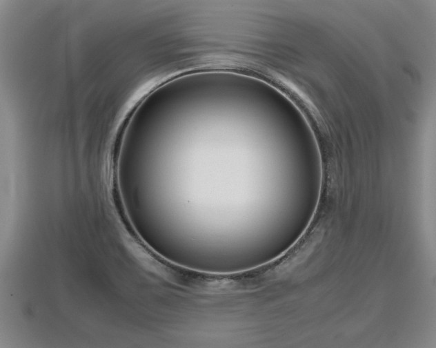 X0000112791467200908281456