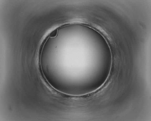 X0000112791469200908281456