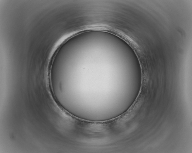 X0000112791470200908281456