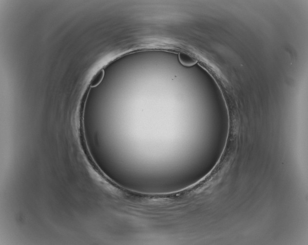 X0000112791471200908281456