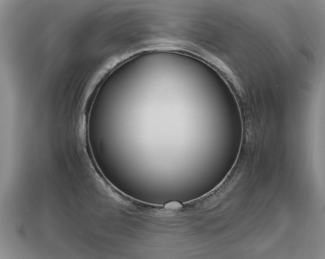 X0000112791472200908281456