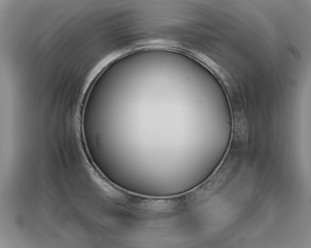 X0000112791474200908281456