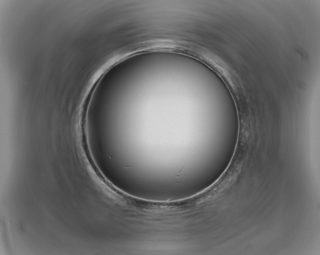 X0000112791475200908281456