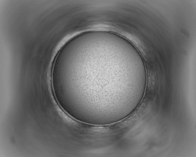 X0000112791478200908281456