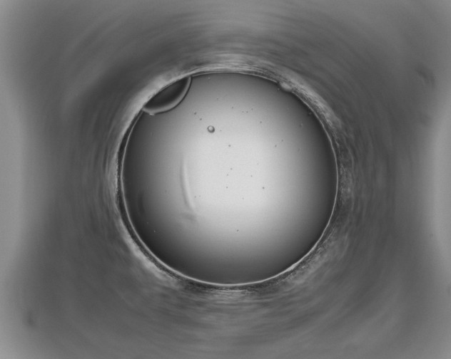 X0000112791479200908281456