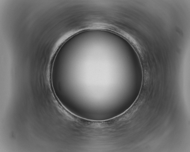 X0000112791480200908281456