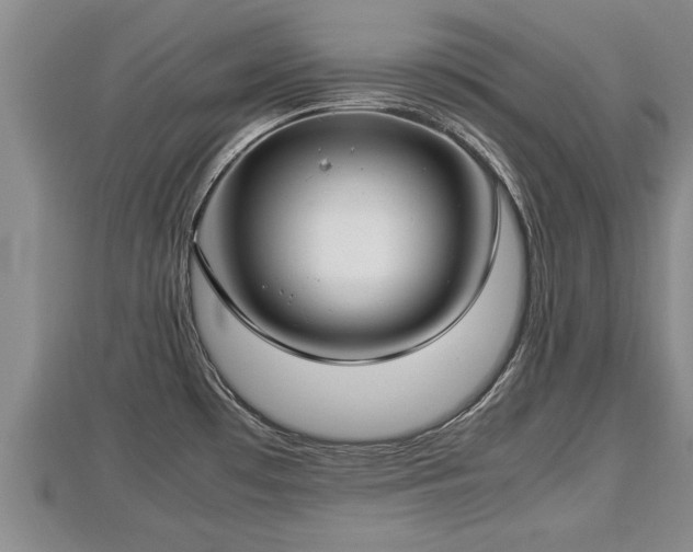 X0000112791481200908281456