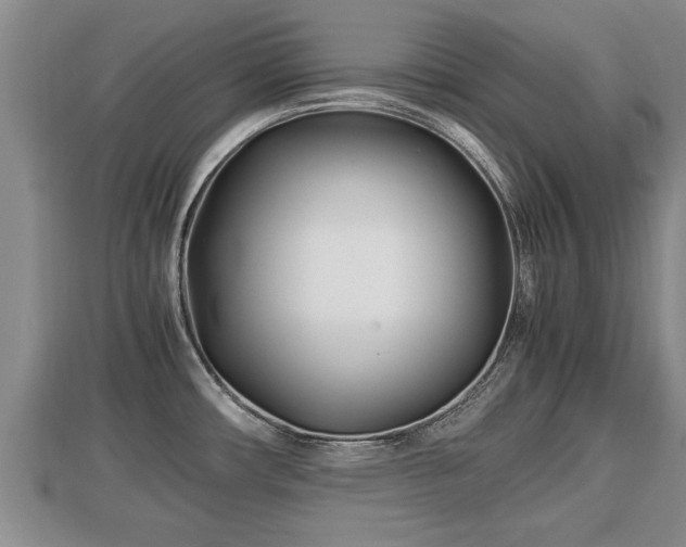 X0000112791482200908281456