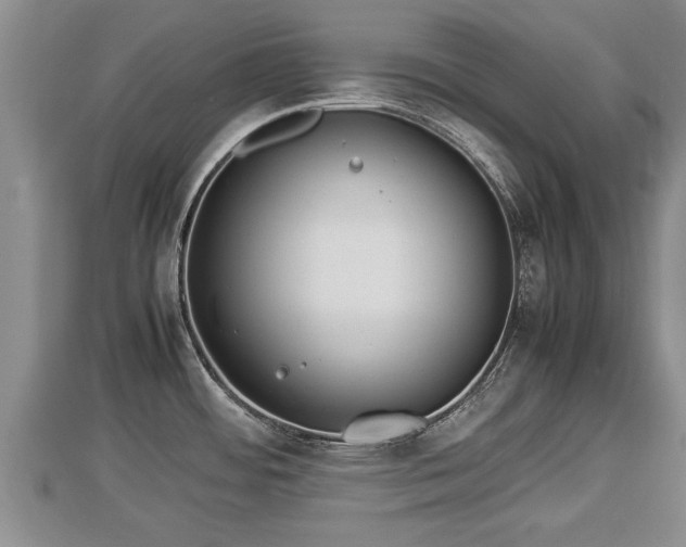 X0000112791484200908281456