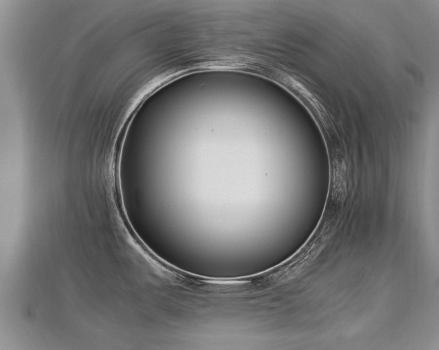 X0000112791487200908281456