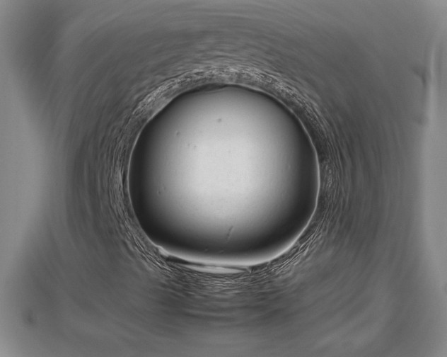 X0000112791489200908281455