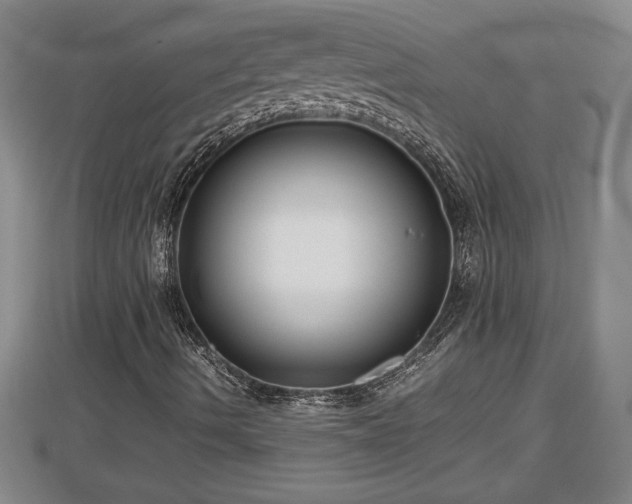 X0000112791490200908281455