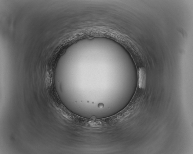 X0000112791491200908281455